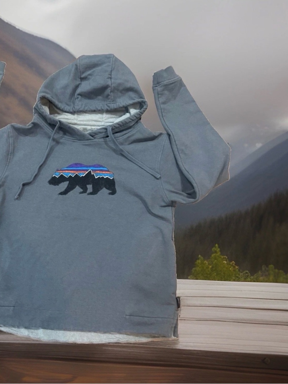 Patagonia Gray Hooded Zip-Up with Multicolor Bear Graphic